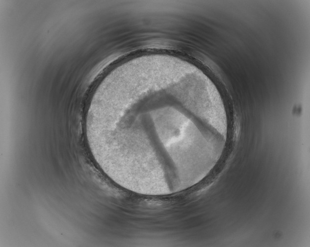 X0000112090829200909151134