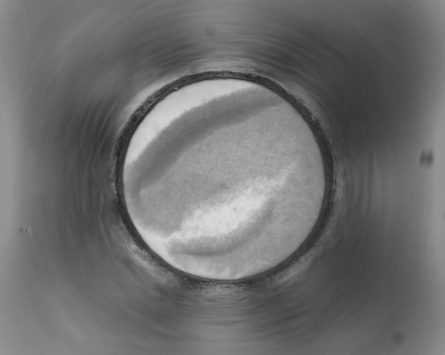 X0000112090830200909151134