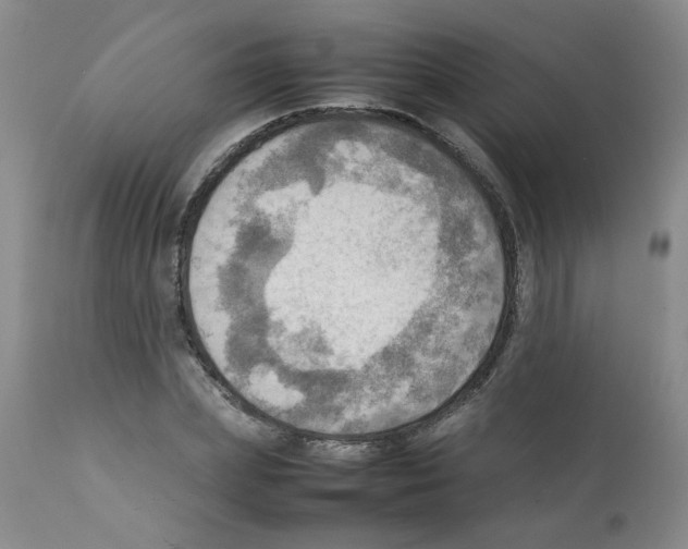 X0000112090831200909151134