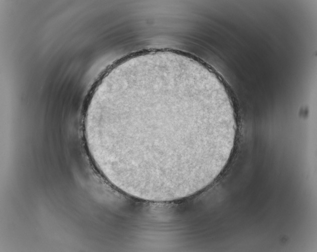 X0000112090832200909151134