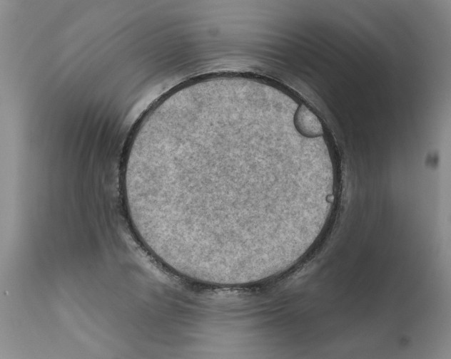 X0000112090834200909151134