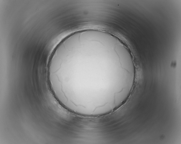 X0000112090836200909151134