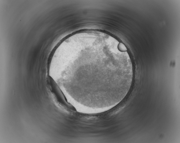 X0000112090837200909151134