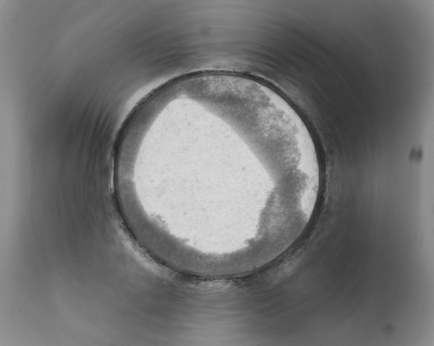X0000112090838200909151134