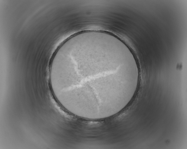 X0000112090839200909151134