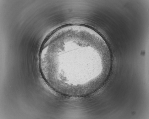 X0000112090840200909151134