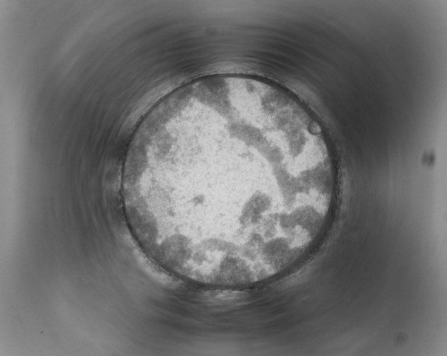 X0000112090841200909151134