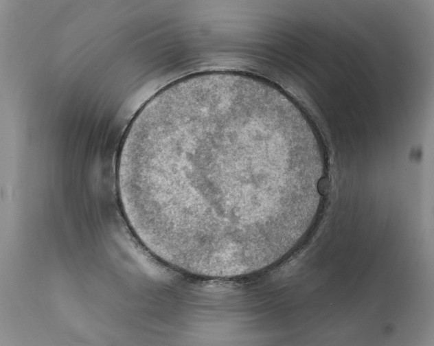 X0000112090842200909151134