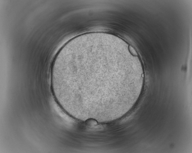 X0000112090843200909151134