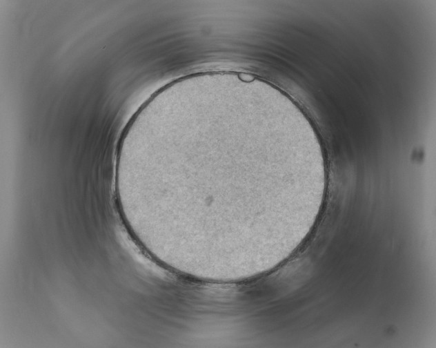 X0000112090844200909151134