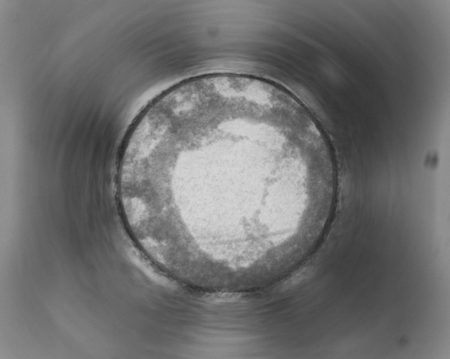 X0000112090846200909151134