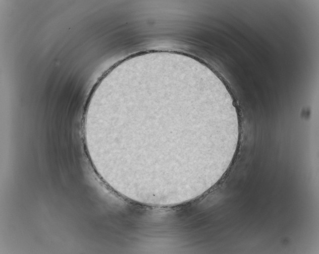 X0000112090848200909151134