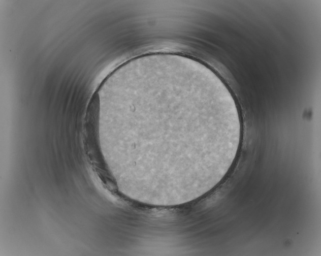 X0000112090850200909151134