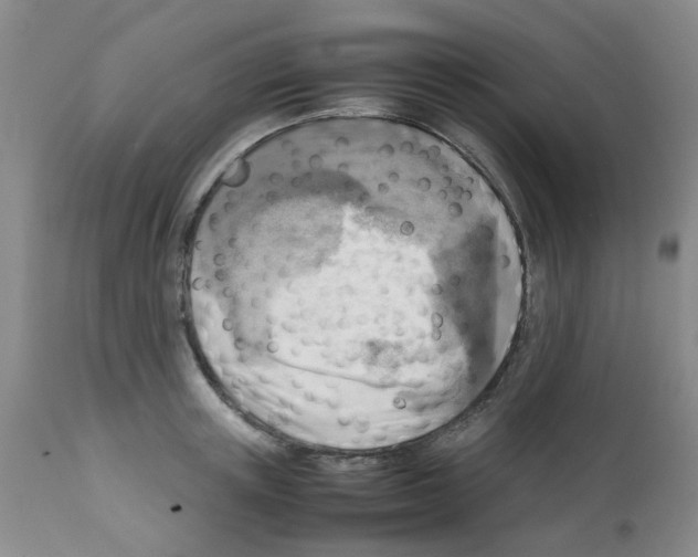 X0000112090851200909151134
