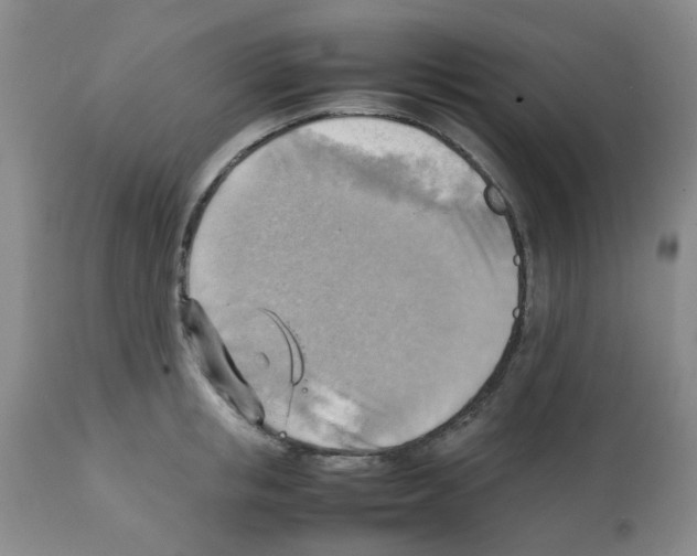 X0000112090853200909151134