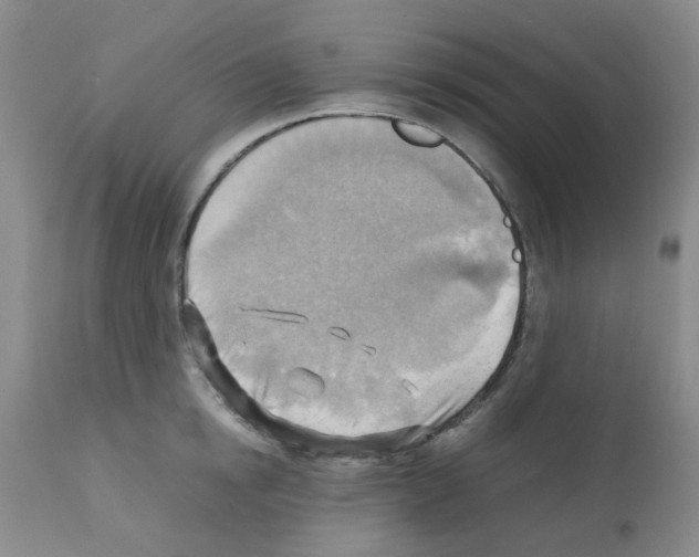X0000112090854200909151134