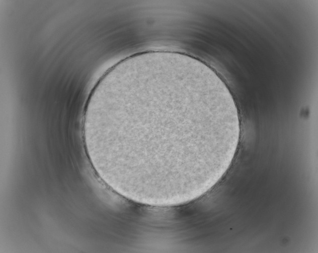 X0000112090856200909151134