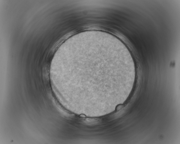 X0000112090857200909151134