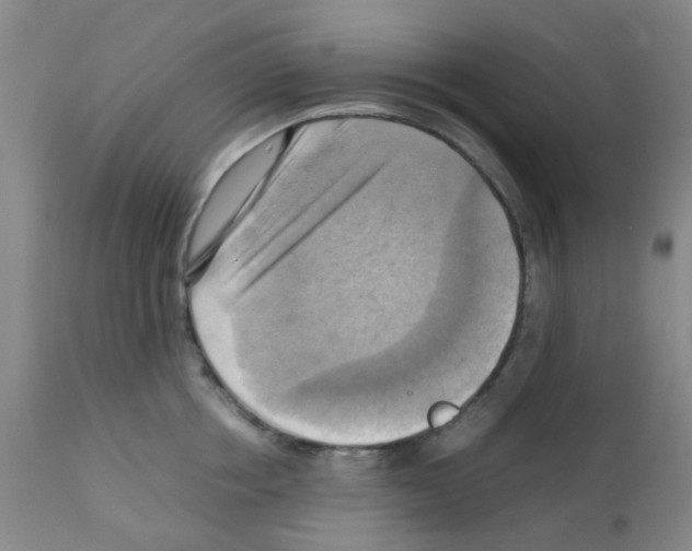 X0000112090858200909151134