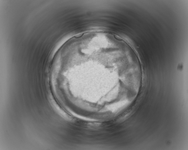 X0000112090859200909151134