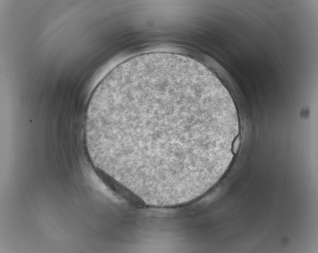 X0000112090860200909151135