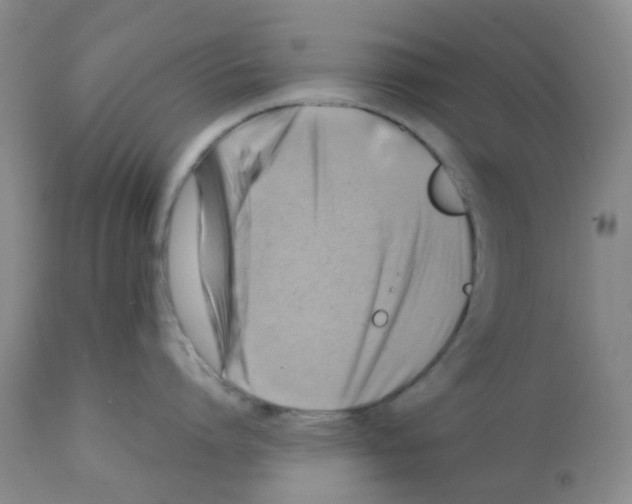 X0000112090864200909151135