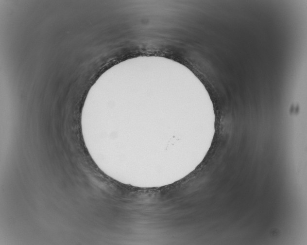 X0000112090865200909151134
