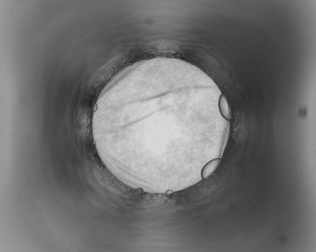 X0000112090866200909151134