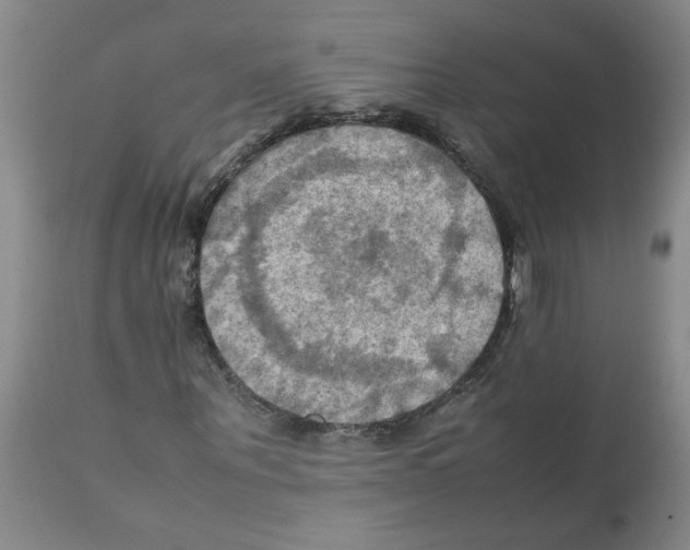 X0000112090867200909151134