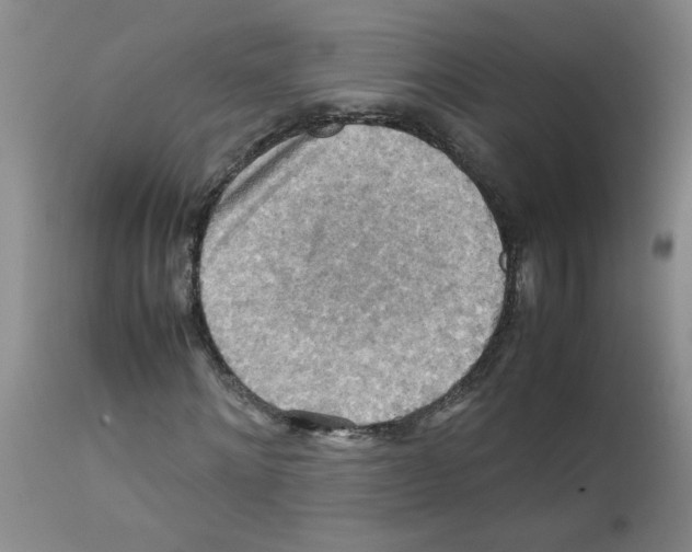 X0000112090868200909151134
