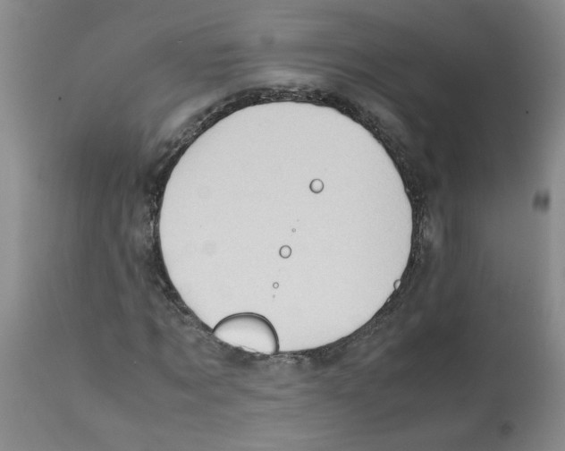X0000112090869200909151134