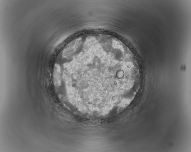 X0000112090871200909151134
