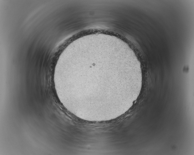 X0000112090872200909151134