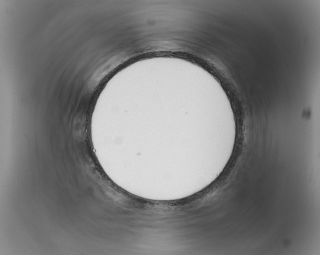 X0000112090873200909151134