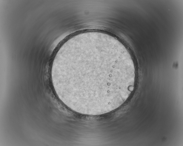 X0000112090875200909151134