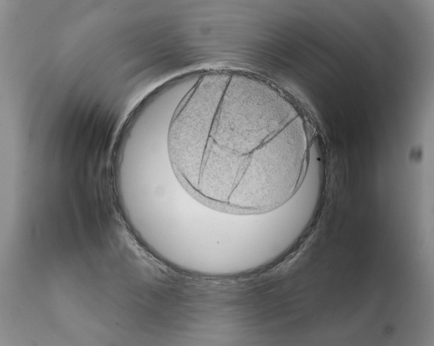 X0000112090876200909151134