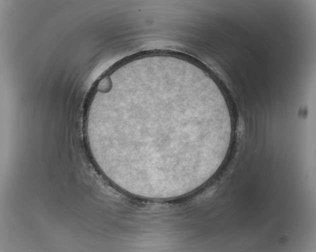 X0000112090877200909151134