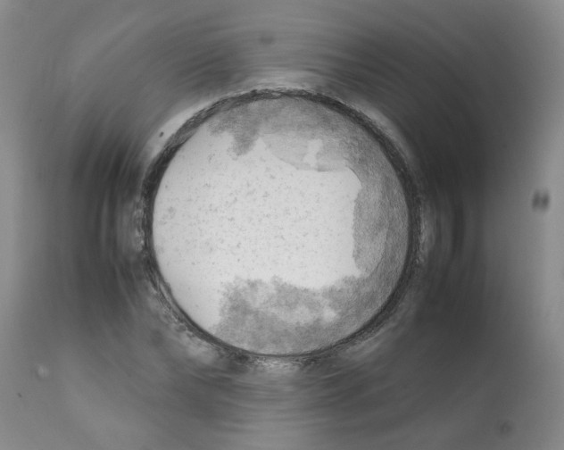 X0000112090878200909151134