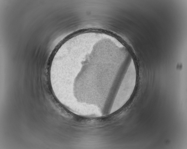 X0000112090879200909151134