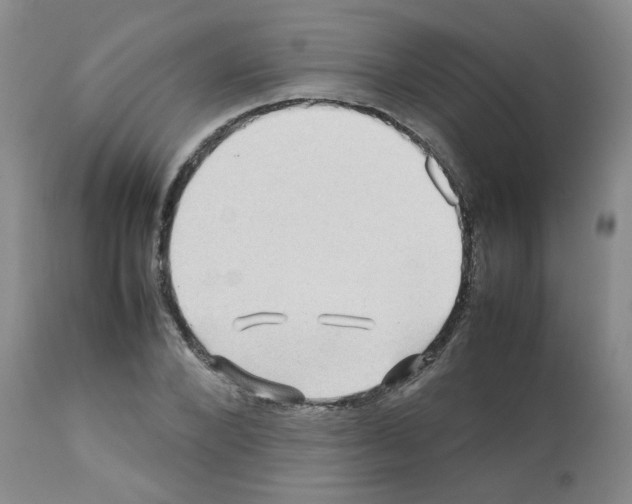 X0000112090880200909151134