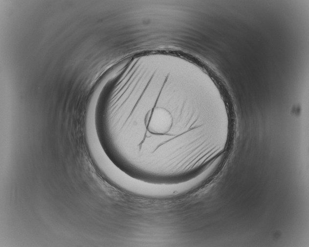 X0000112090881200909151134