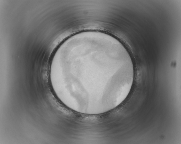 X0000112090882200909151134