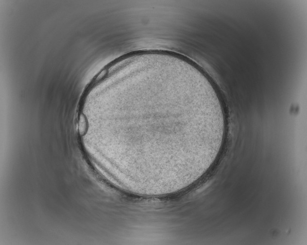 X0000112090885200909151134
