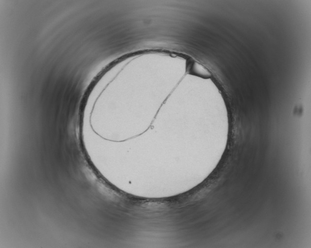 X0000112090888200909151134