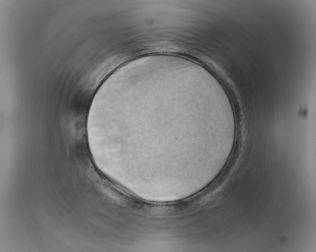 X0000112090889200909151134