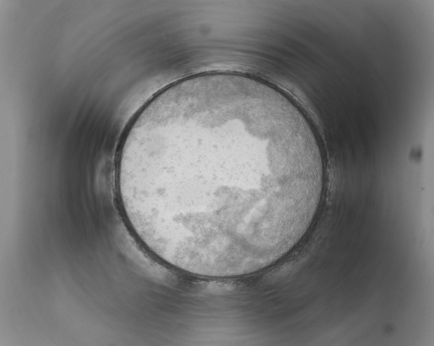 X0000112090890200909151134