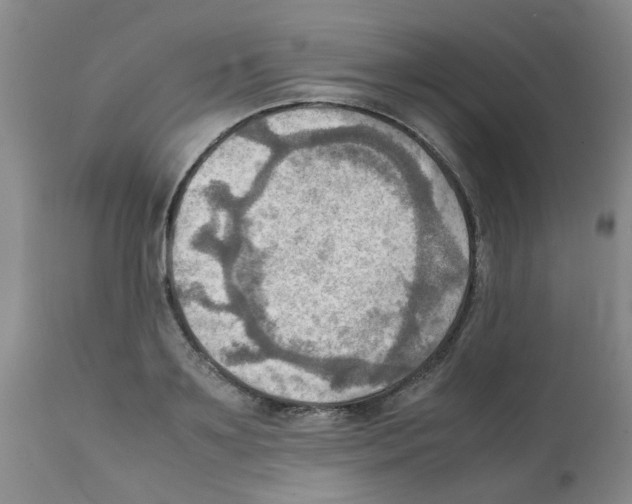 X0000112090891200909151134