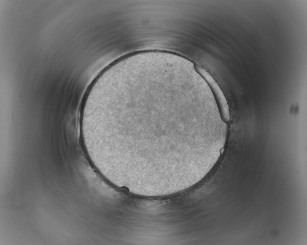 X0000112090892200909151134