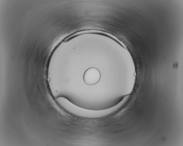 X0000112090893200909151134