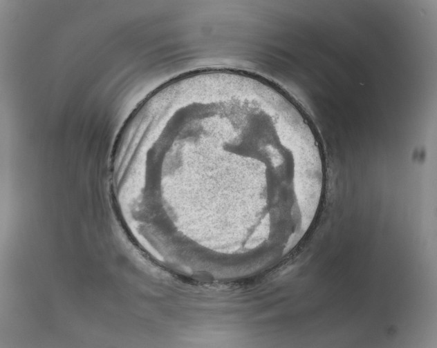 X0000112090895200909151133